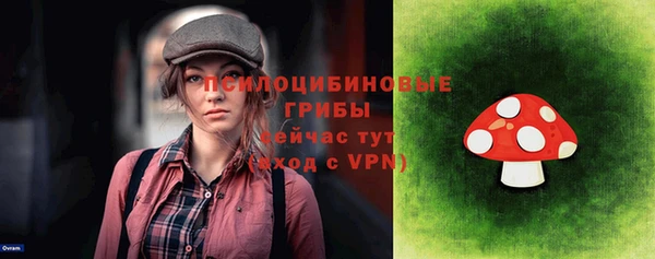 прущие грибы Новодвинск