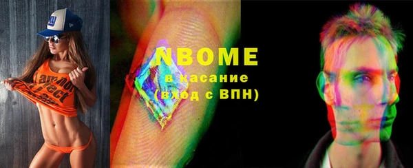 прущие грибы Новодвинск