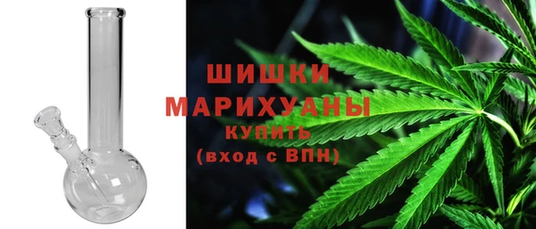 мет Новозыбков