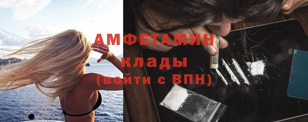 прущие грибы Новодвинск