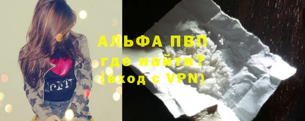прущие грибы Новодвинск
