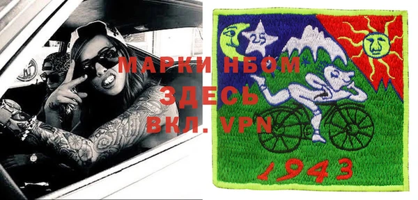 прущие грибы Новодвинск