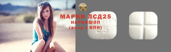 прущие грибы Новодвинск