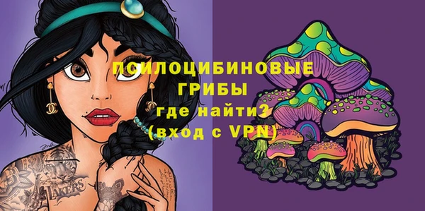 мдпв Тольятти