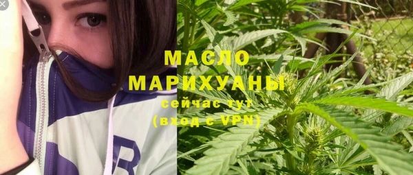 мет Новозыбков