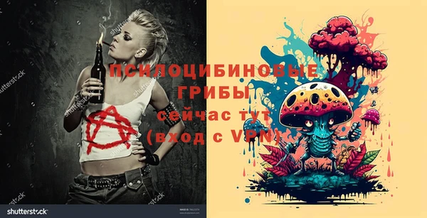 прущие грибы Новодвинск