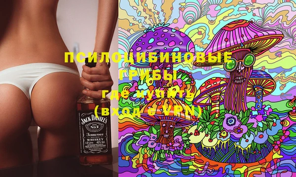 прущие грибы Новодвинск
