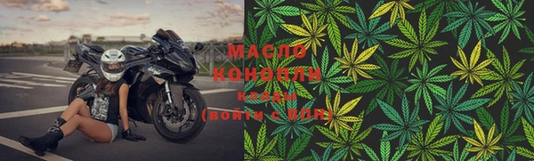 прущие грибы Новодвинск