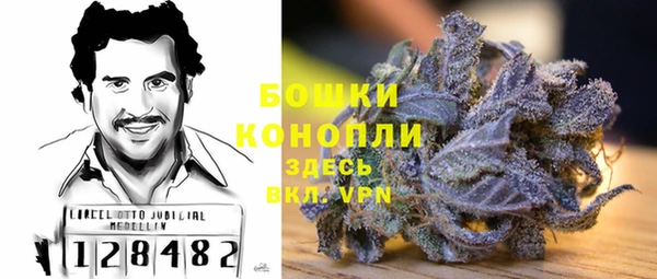 прущие грибы Новодвинск