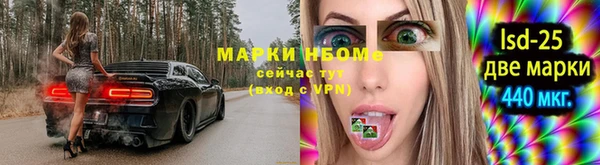 прущие грибы Новодвинск