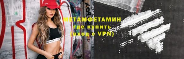 прущие грибы Новодвинск