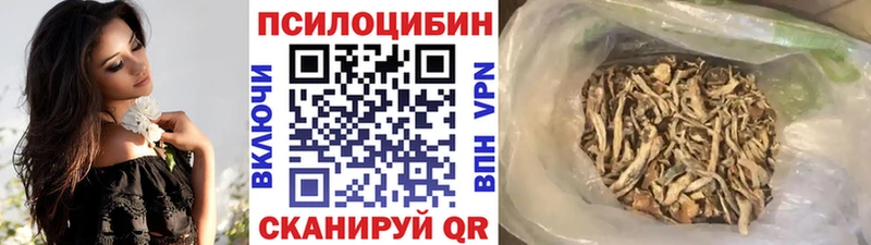Псилоцибиновые грибы Cubensis  Балей 